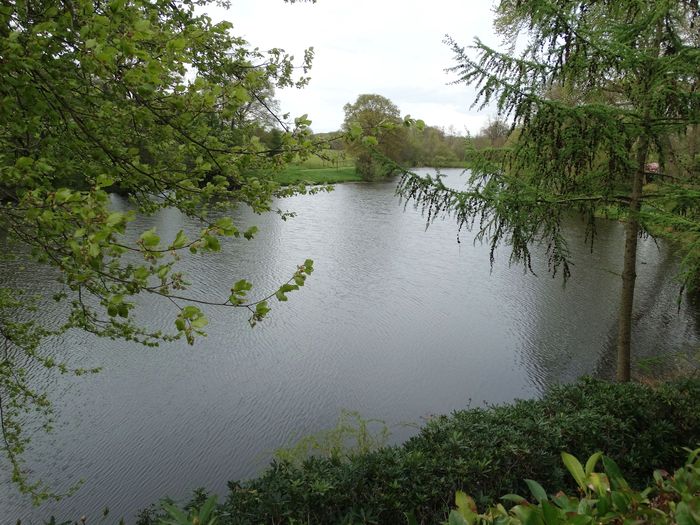 Whitmore Hall Grounds