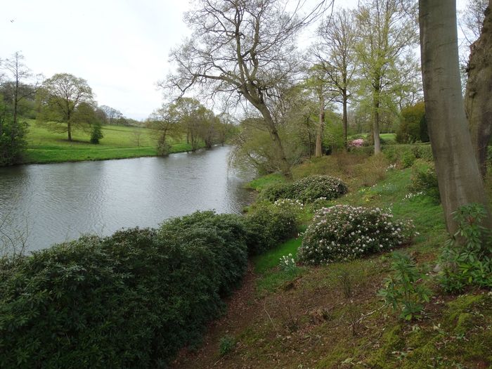 Whitmore Hall Grounds