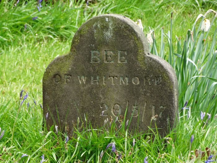 Dog Graves