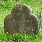 Dog Graves