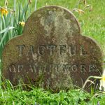 Dog Graves