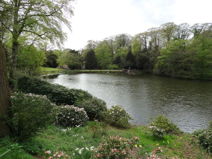 Whitmore Hall Grounds