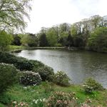Whitmore Hall Grounds