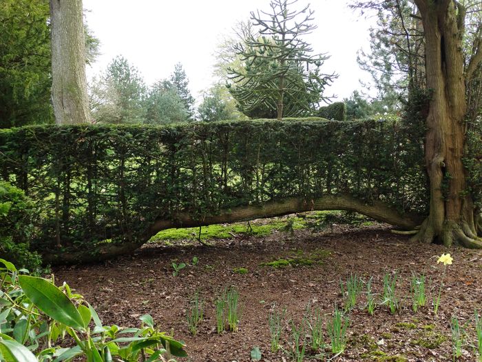 Whitmore Hall Grounds