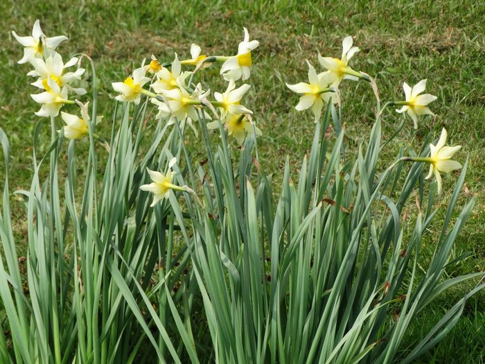 Whitmore Hall Grounds