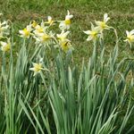 Whitmore Hall Grounds