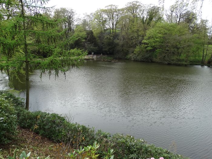 Whitmore Hall Grounds
