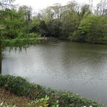Whitmore Hall Grounds