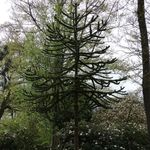 Whitmore Hall Grounds