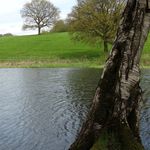 Whitmore Hall Grounds