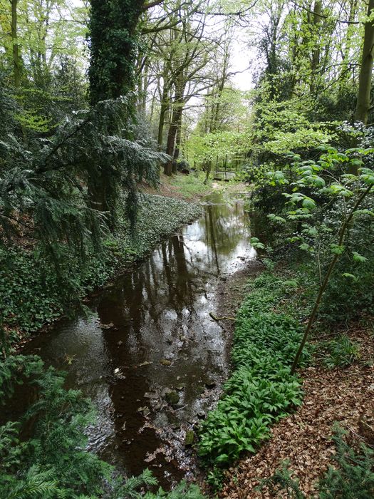 Whitmore Hall Grounds