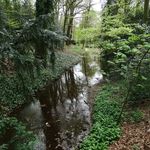 Whitmore Hall Grounds