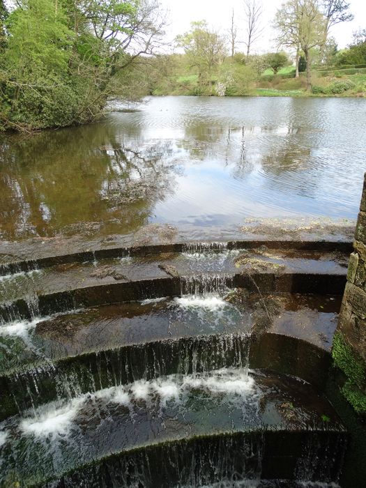 Whitmore Hall Grounds