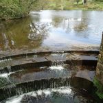 Whitmore Hall Grounds