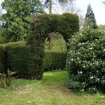 Whitmore Hall Grounds