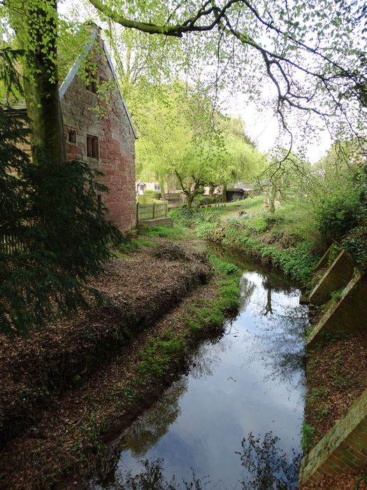 Whitmore Hall Grounds