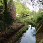 Whitmore Hall Grounds