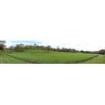 Whitmore Hall Grounds
