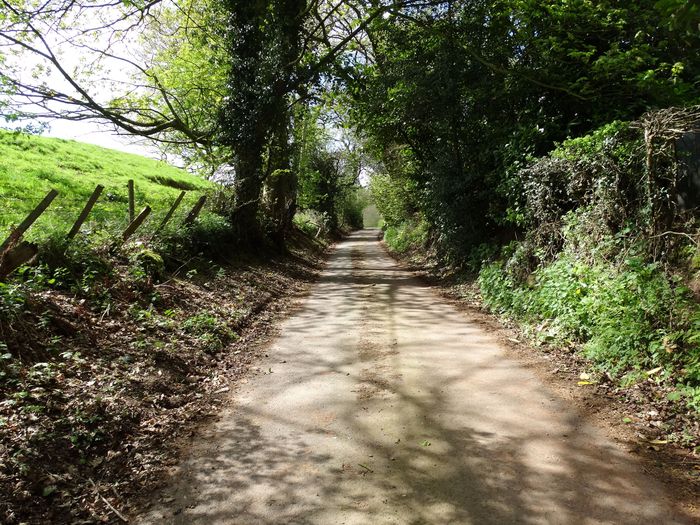 Whitmore, England