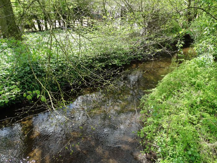 Meece Brook