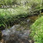 Meece Brook