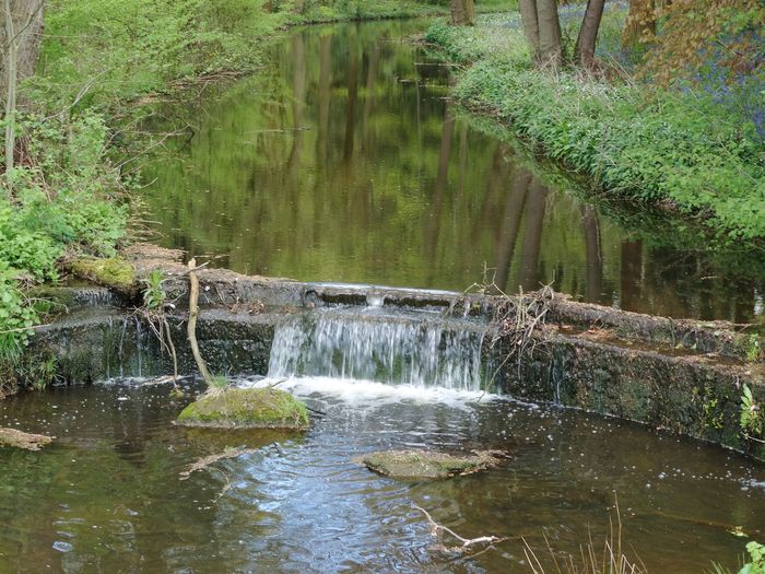 Meece Brook