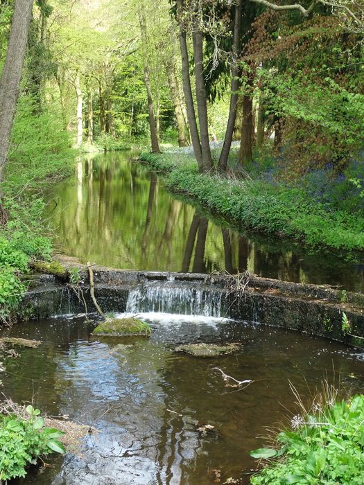 Meece Brook