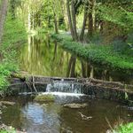Meece Brook