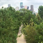 Buffalo Bayou Park