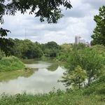 Buffalo Bayou Park