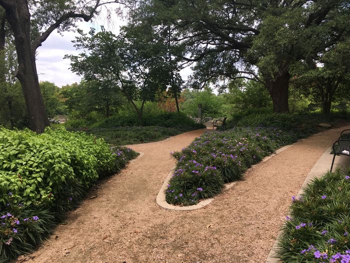 Buffalo Bayou Park
