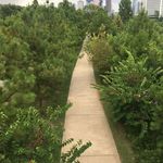 Buffalo Bayou Park