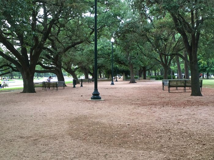 Hermann Park