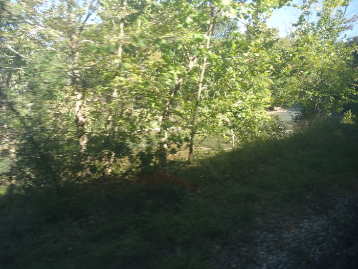 Cuyahoga Valley Scenic Railway