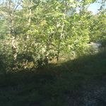 Cuyahoga Valley Scenic Railway