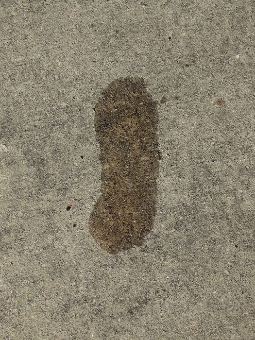 My Footprint