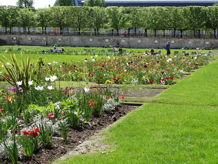 Tuileries Garden