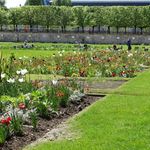 Tuileries Garden