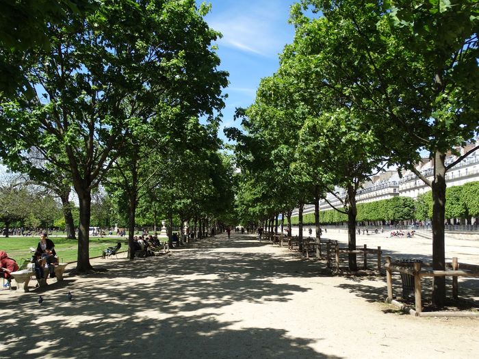 Tuileries Garden