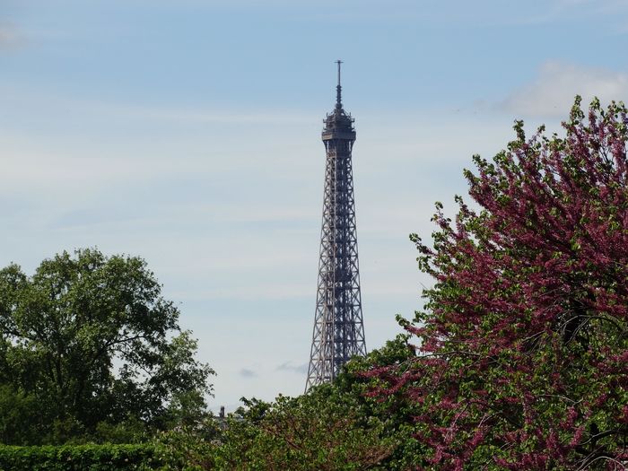 Tuileries Garden