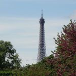 Tuileries Garden
