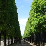 Tuileries Garden