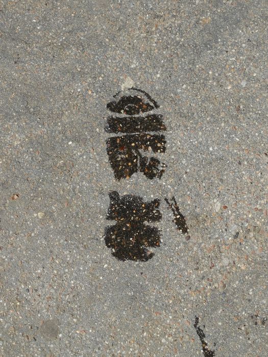 My Footprint