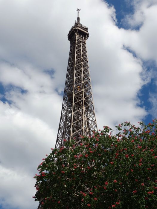 Eiffel Tower