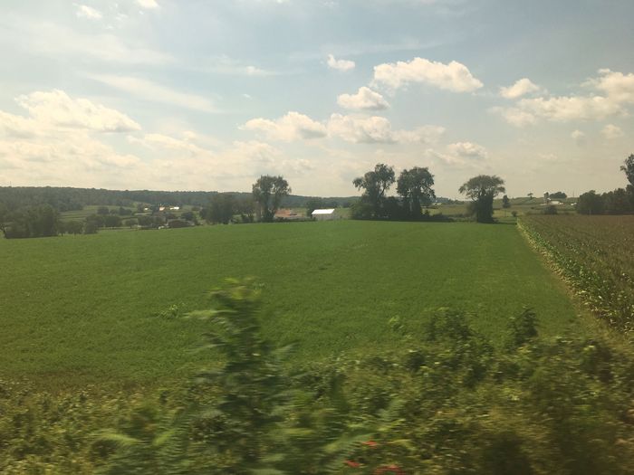 Amtrak