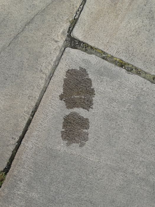My Footprint