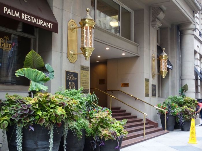 Bellevue Hotel