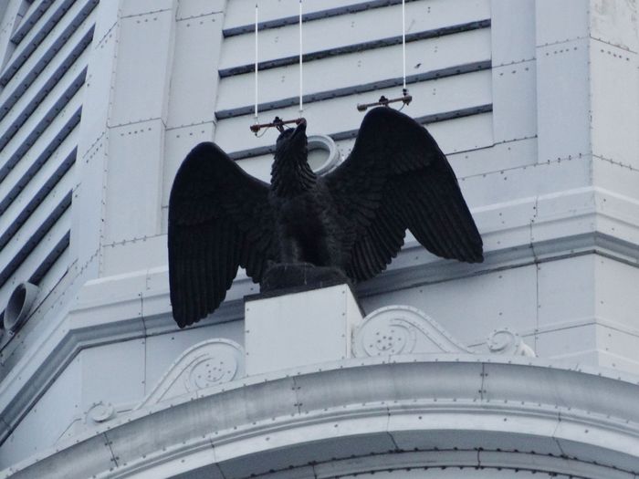 City Hall