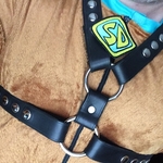 'Leather' Scooby-Doo