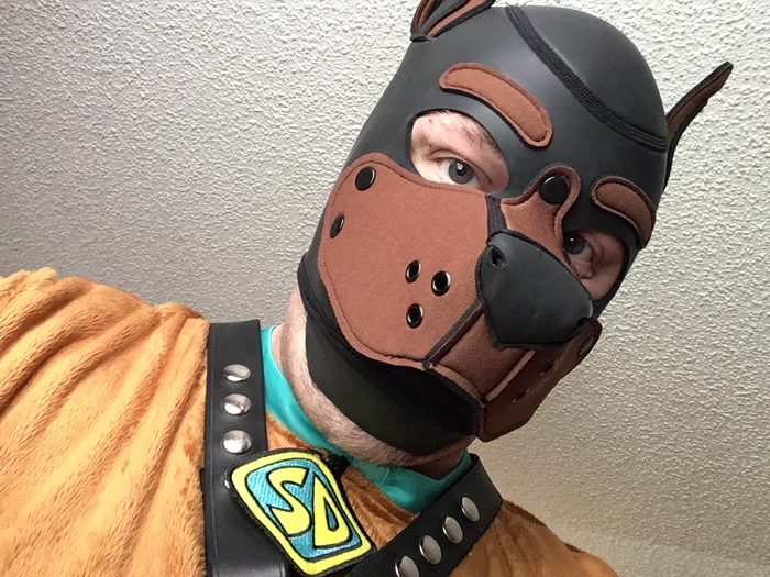 'Leather' Scooby-Doo